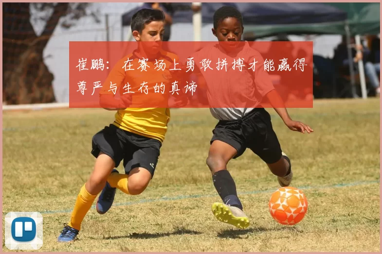 崔鹏：在赛场上勇敢拼搏才能赢得尊严与生存的真谛