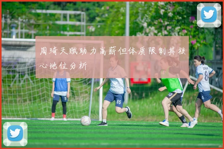 周琦天赋助力高薪但体质限制其核心地位分析